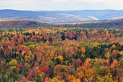 Fall foliage seen on thousands of trees in Vermont