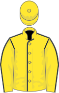 Yellow, dark blue seams, yellow cap