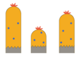 Vegetation layer - middle
