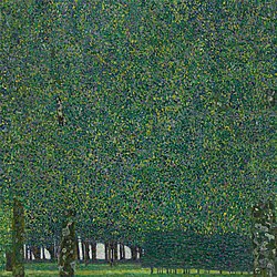 The Park