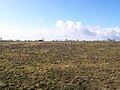 Paythorne Moor