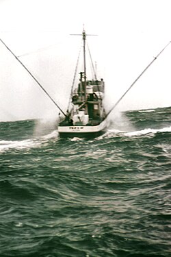 Trolling for tuna in the Pacific
