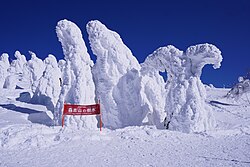Snow monsters