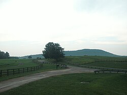 A view from the entrance of the Castleton Festival