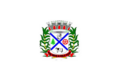 Flag of Borebi