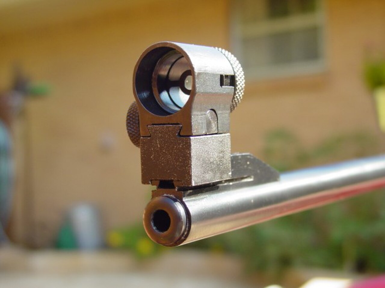 Front globe sight.jpg