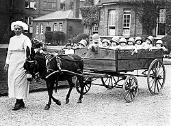 Donkey and wagon full of children (1925)