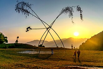 A tree swing, with the setting sun in the background