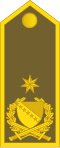 Brigadni general (Bosnian Ground Forces)[13]