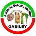 Official seal of Gabiley