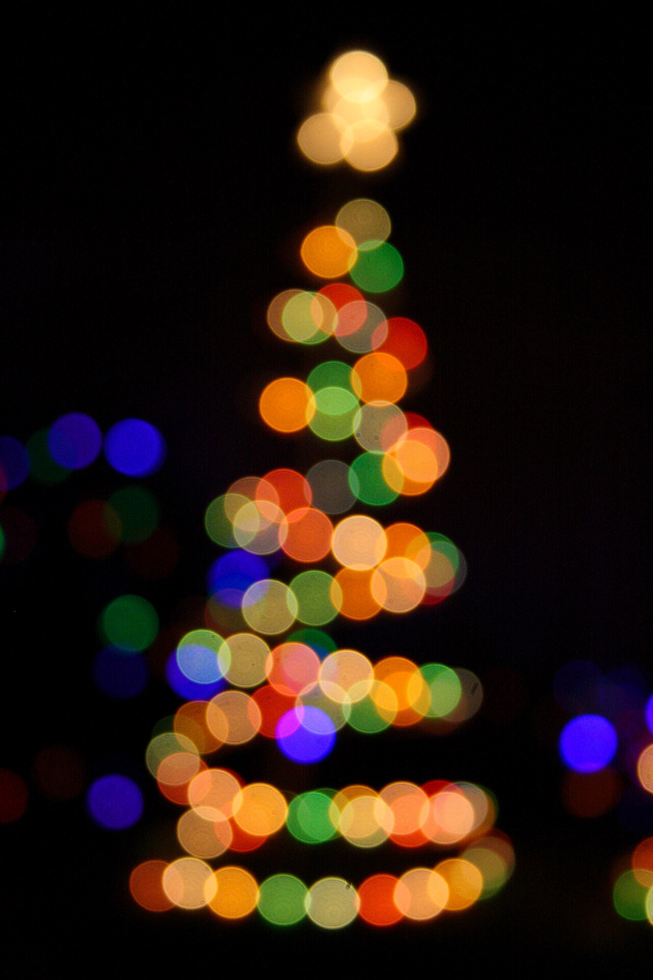 Christmas lights - 1.jpg
