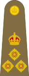 Brigadier