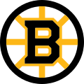 Boston Bruins, an American NHL hockey team