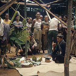 Tenggerese offering, 1971