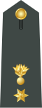 Current rank insignia of a Tagmatarchis, since 1975