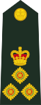Brigadier (Fiji Infantry Regiment)