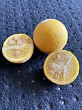 Fruit