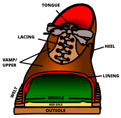 Cutaway view of a typical shoe.