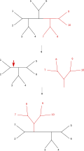 Subtree pruning and regrafting (SPR)