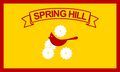 Flag of Spring Hill, Florida