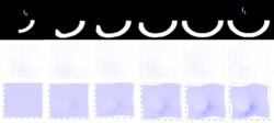 Figure showing dense image mtaching LDDMM for transporting a curved motion.