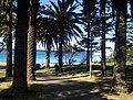 Cronulla Park