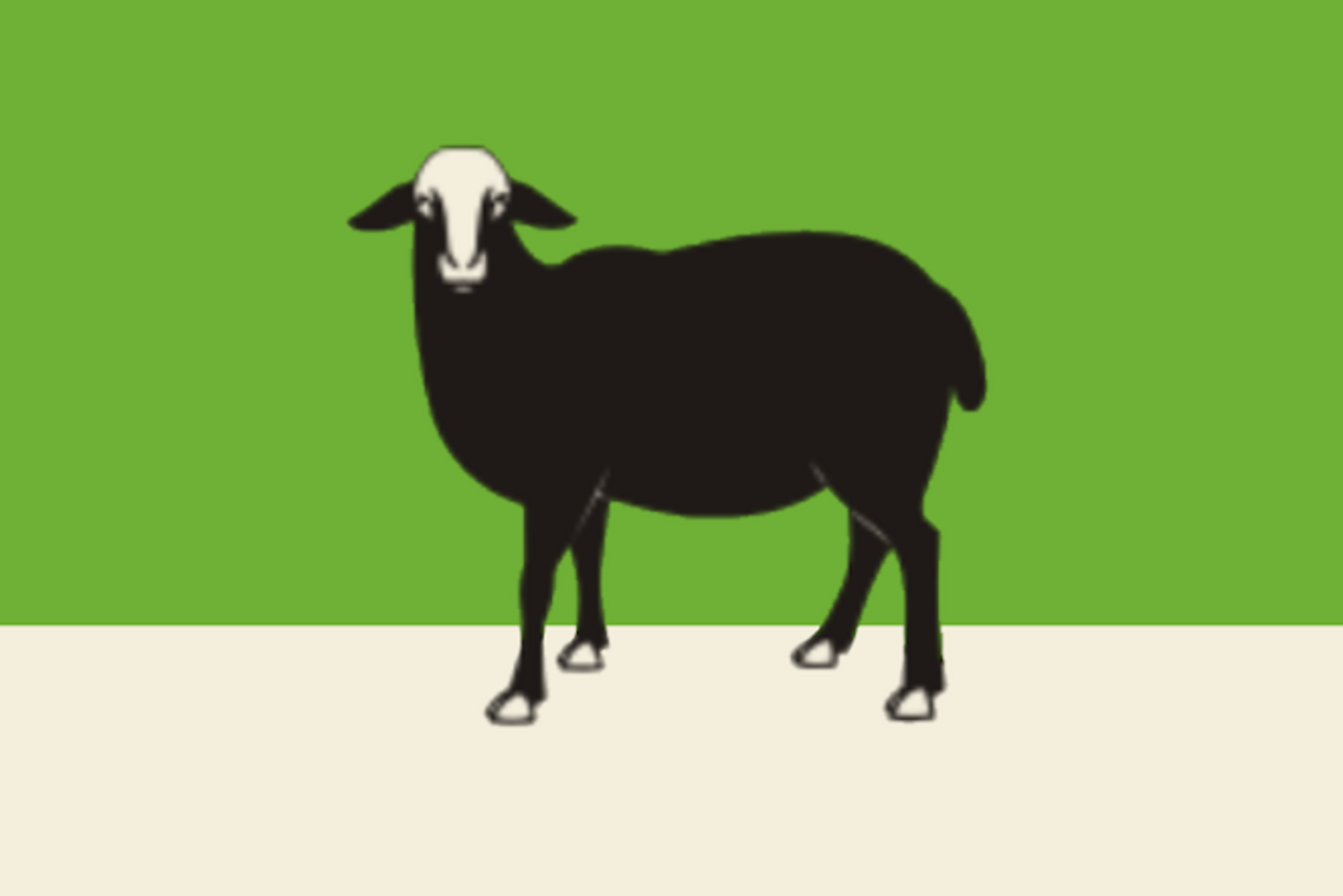 Flag of Buguruslan.png