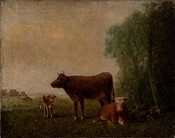 Cattle in a Field