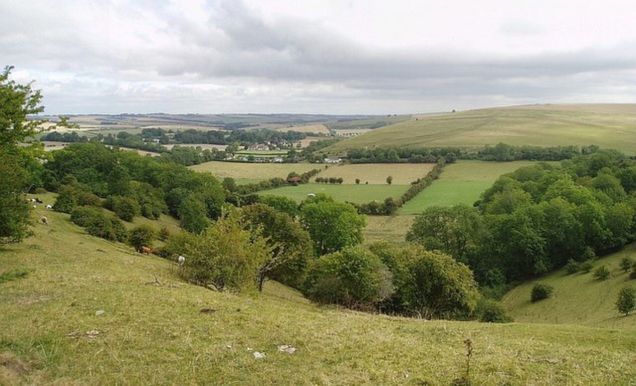 Looking towards Bowerchalke from Woodminton Down - geograph.org.uk - 223342.jpg
