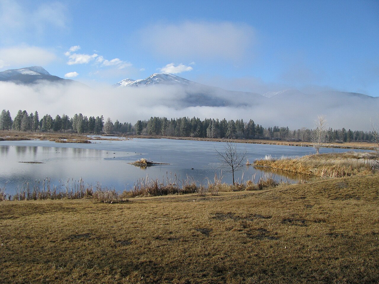 January Ice Fog (8662560141).jpg