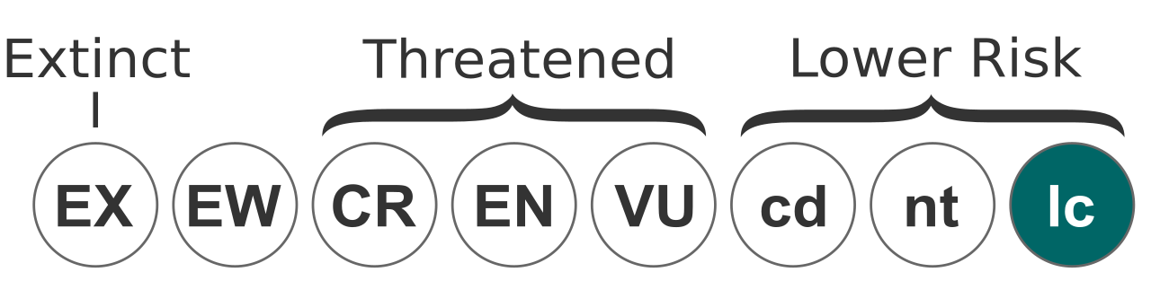 Status iucn2.3 LC.svg