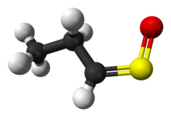Model of syn-propanethial-S-oxide, the volatile molecule that causes eye irritation