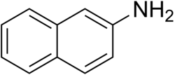 Skeletal formula