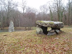 The megaliths of Ménardeix
