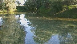 A spring of water in Capralba