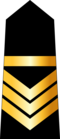 Adjudant (Arabic: وكيل, romanized: Wakil) (Tunisian Army)[25]