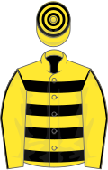 Yellow, black hoops, yellow sleeves, black seams