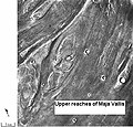 Streamlined islands seen by Viking showed that large floods occurred on Mars. Image is located in Lunae Palus quadrangle.