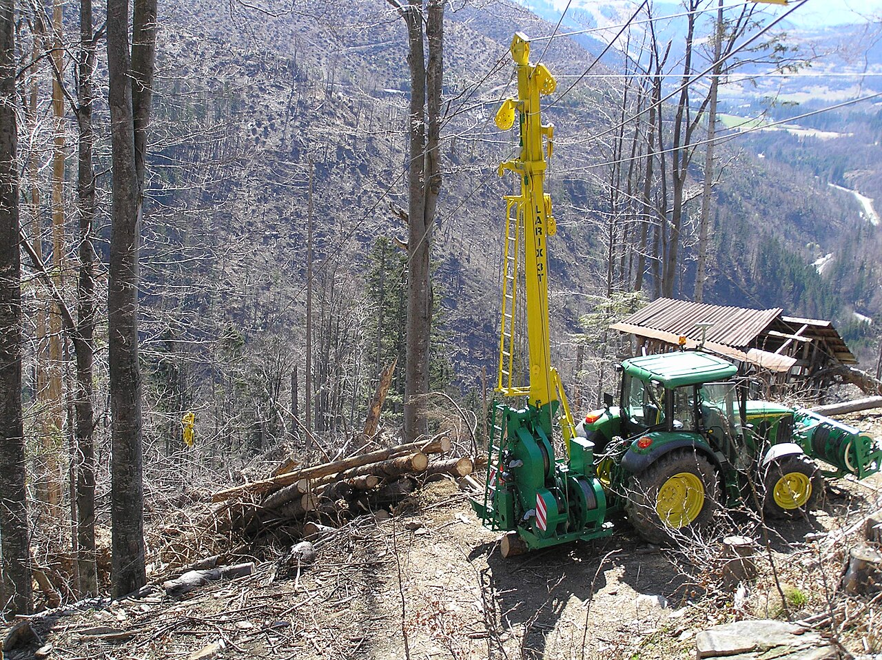 Larix3T.JPG