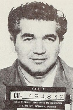Sam Farkas Mugshot