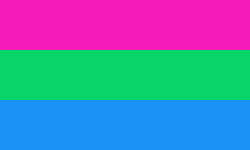 {{{flag_name}}}