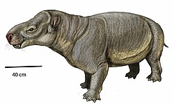 Life reconstruction of Asiocoryphodon conicus
