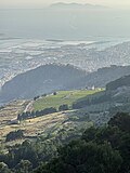 Vineyards on the slopes of Monte Erice