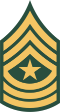 1966–1968, the only authorized insignia for all sergeants major [6]