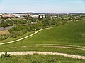 View from the highest hill in Northala Fields (towards Wembley)