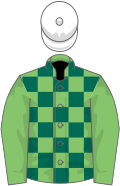 Light and dark green check, light green sleeves, white cap