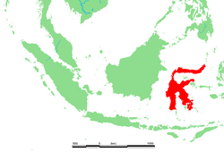 Location of Sulawesi (Celebes), Indonesia