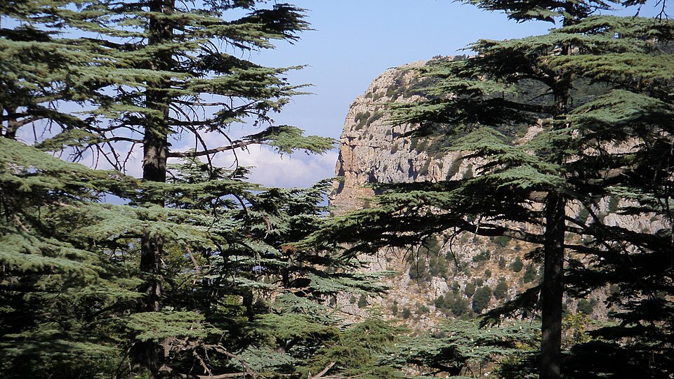 Tannourine