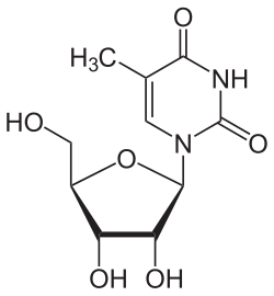 Skeletal formula of 5-methyluridine