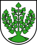 Coat of arms of Struppen
